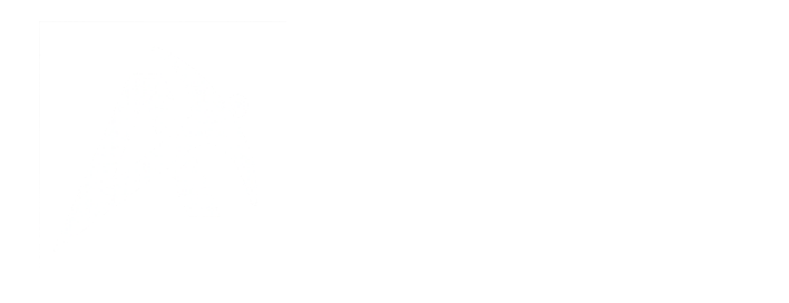 100MW LLC