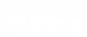 100MW LLC